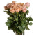 Rose Shimmer 2 Flower delivery foreshortening