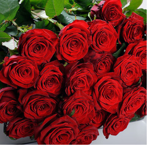 Троянди Ред Наомі 70 см доставка квітів