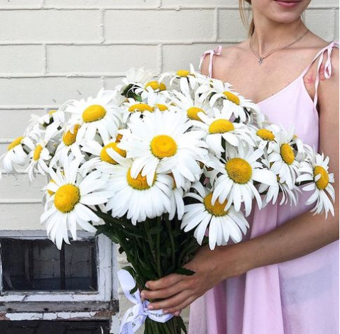 Ромашка 1 доставка квітів