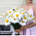 Ромашка доставка квітів ракурс Ромашка 1 доставка квітів ракурс