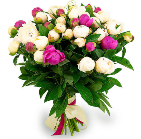 Пион Украина 1 доставка цветов