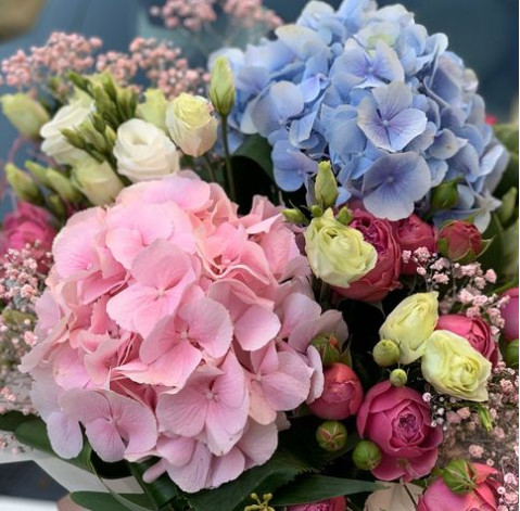 Flower composition Hydrangea Tenderness 3 Flower delivery