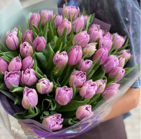 Bouquet 41 tulip 2 Flower delivery