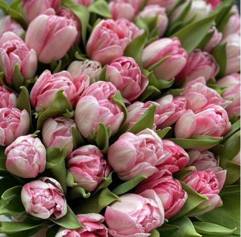 Bouquet 45 Foxtrot Tulips 2 Flower delivery