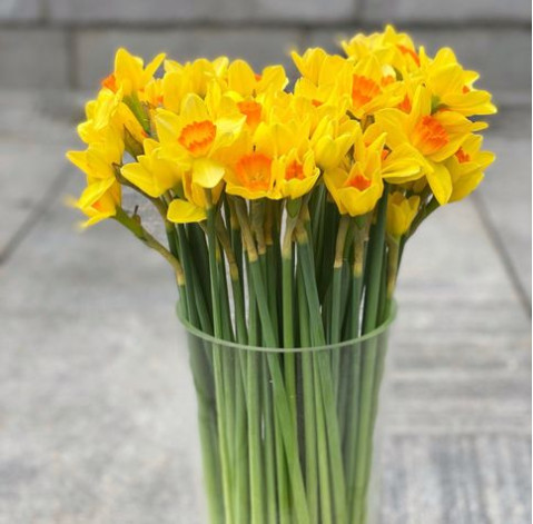 Нарциссы доставка цветов Нарциссы 2 доставка цветов