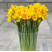 Нарциссы доставка цветов ракурс Нарциссы 2 доставка цветов ракурс