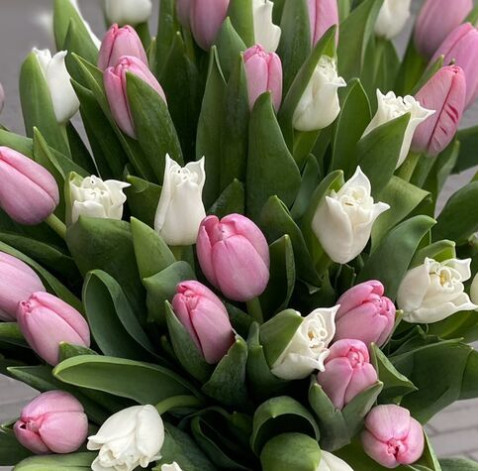 Букет 55 тюльпанів 2 доставка квітів