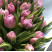 Bouquet 31 tulip 2 Flower delivery foreshortening