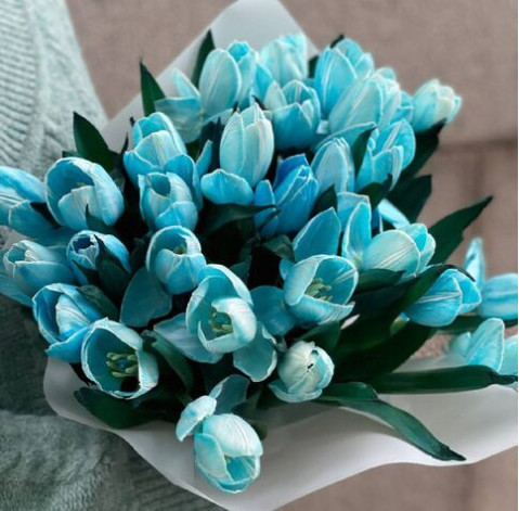 тюльпан блакитний доставка квітів
