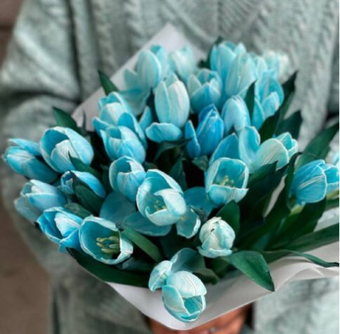 Тюльпан крашеный 5 доставка цветов