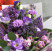 Bouquet Summer violet Flower delivery foreshortening Bouquet Summer violet 3 Flower delivery foreshortening