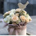 Flower composition Symbol of tenderness Flower delivery foreshortening Flower composition Symbol of tenderness 1 Flower delivery foreshortening