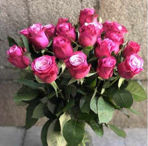 Rose Prince of Persia 1 Flower delivery