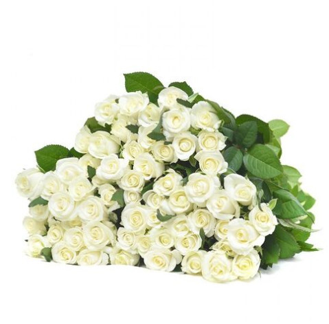 Троянда Білуга 30-40 см 3 доставка квітів