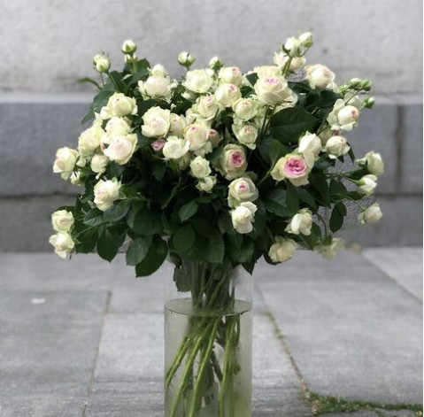 Троянда кущова Джелатто 4 доставка квітів