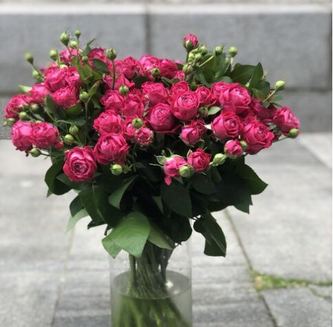 Spray rose Marvelous Bubbles 2 Flower delivery