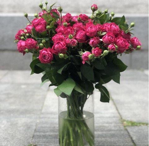 Spray rose Marvelous Bubbles 1 Flower delivery
