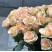 Троянда кущова Азоре 4 доставка квітів ракурс