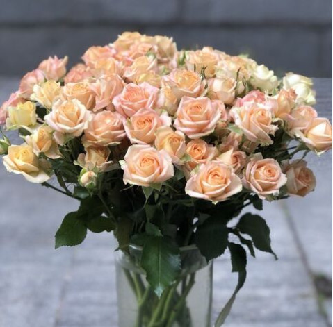 Троянда кущова Азоре 2 доставка квітів