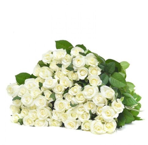 Троянда Білуга 50-60 см 3 доставка квітів