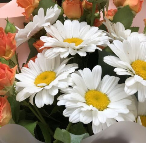 Букет Полум'яна ромашка 3 доставка квітів