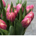 Тюльпан півонієподібний Коламбус доставка квітів ракурс Тюльпан півонієподібний Коламбус 6 доставка квітів ракурс