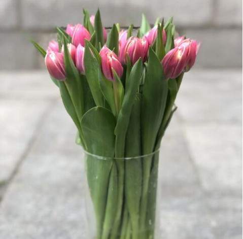 Тюльпан півонієподібний Коламбус 4 доставка квітів