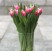 Тюльпан півонієподібний Коламбус доставка квітів ракурс Тюльпан півонієподібний Коламбус 4 доставка квітів ракурс