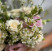 Квіткова композиція Польова ніжність 3 доставка квітів ракурс