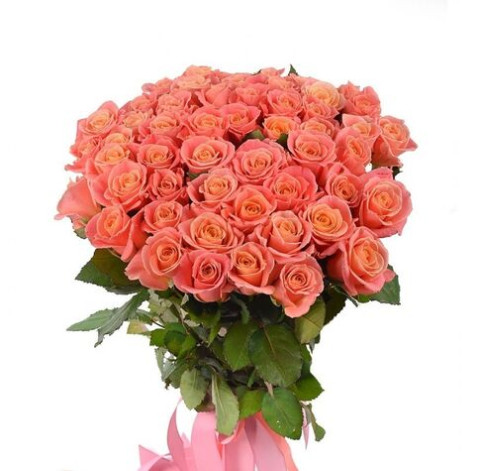 Rose Miss Piggy 2 Flower delivery