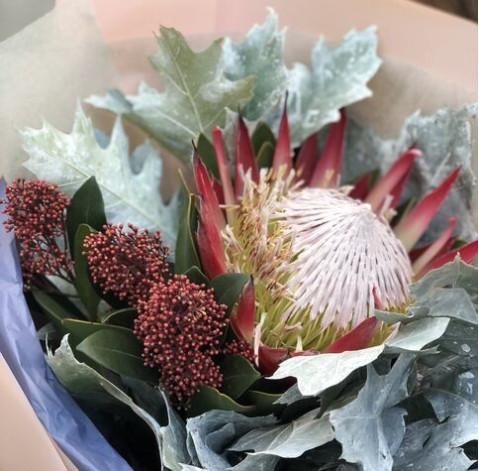 Bouquet Royal Protea 4 Flower delivery
