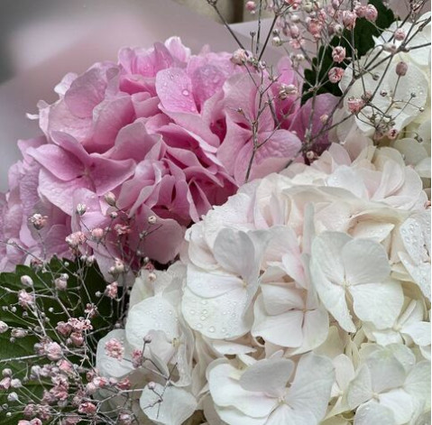 Букет 3 гортензии 3 доставка цветов