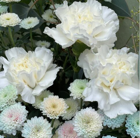 Букет Іній 3 доставка квітів