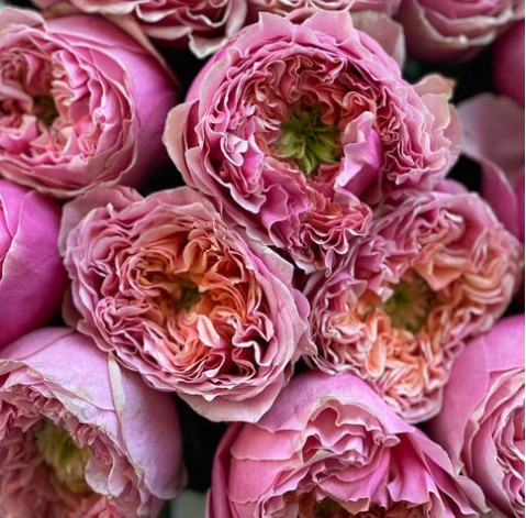 Bouquet 21 roses Pink Eye 3 Flower delivery