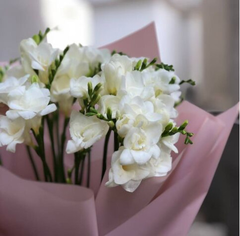 Bouquet 21 freesia 3 Flower delivery