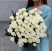 Bouquet of 75 roses Beluga 1 Flower delivery foreshortening