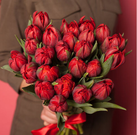 Тюльпан пионовидный красный 2 доставка цветов