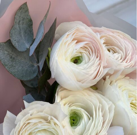 Bouquet of 7 ranunculus 3 Flower delivery
