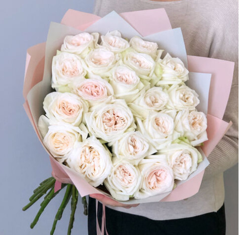 Rosa White Ohara 3 Flower delivery