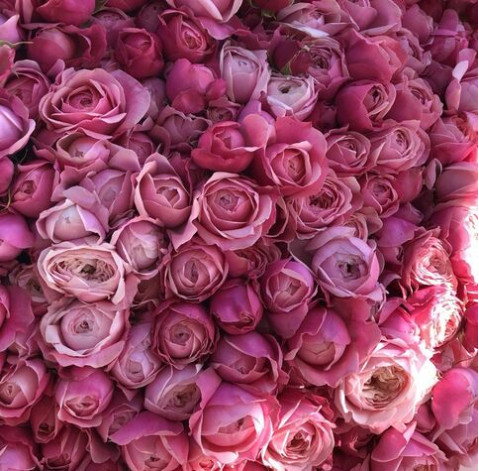 Букет 101 Сильва Пінк 4 доставка квітів