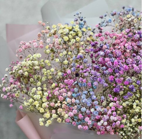 Букет 7 радужных гипсофил 2 доставка цветов