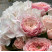 Квіткова композиція Пудровий сон 3 доставка квітів ракурс