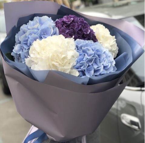 Букет 5 гортензій 4 доставка квітів