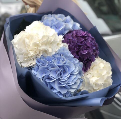 Букет 5 гортензій 2 доставка квітів