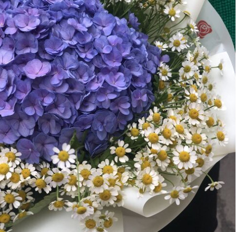 Букет Ромашкове поле 3 доставка квітів