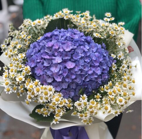 Букет Ромашкове поле 2 доставка квітів