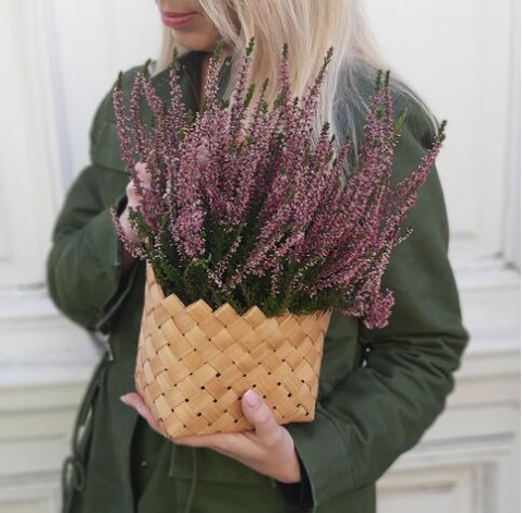 Вереск в плетеном конверте доставка цветов Вереск в плетеном конверте 3 доставка цветов