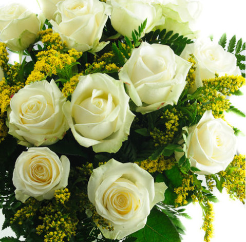 Білі троянди 1 доставка квітів