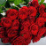 Roses Red Naomi 90 cm 1 Flower delivery foreshortening