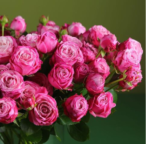 Роза Леди Бомбастик 1 доставка цветов